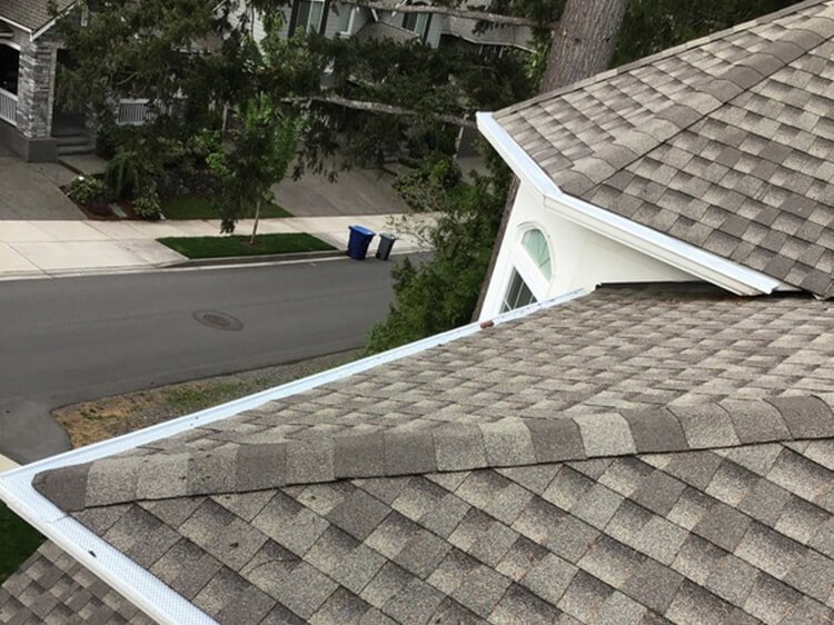 Outstanding Federal Way gutter cover in WA near 98001