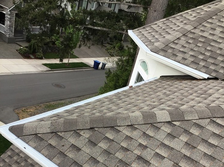 Gutter-Cover-Issaquah-WA