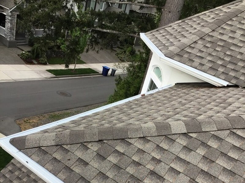Affordable Puget sound gutter in WA near 98107