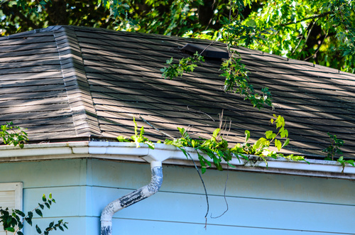 Book an appt for Yelm gutters in WA near 98597