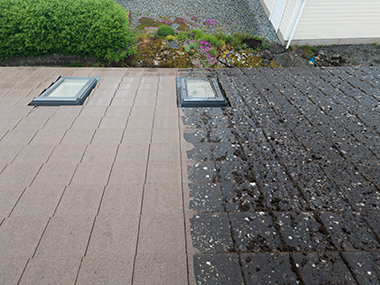 Bellevue Metal Roof Gutter