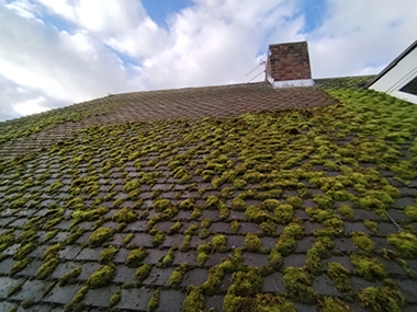King County Clogged Gutter Damage Roof