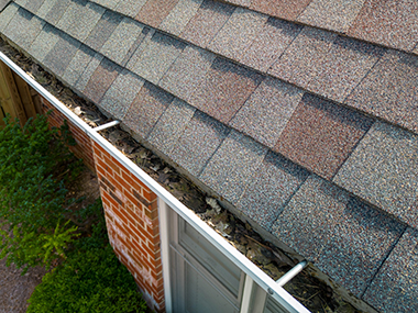 King County Pine Needles Gutters